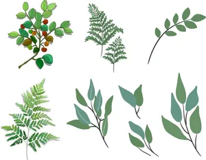 Cành Lá Xanh Tươi - Bộ Sưu Tập Vector Minh Họa Thực Vật