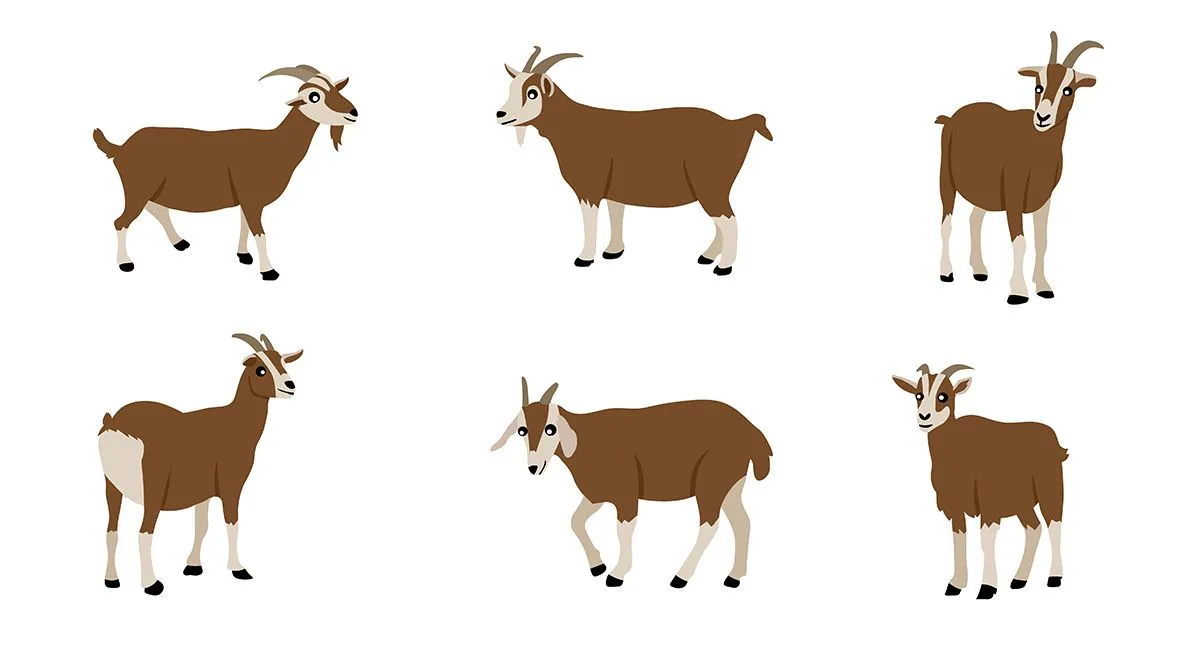 Hình ảnh minh họa chú dê màu nâu file vector mẫu KS565