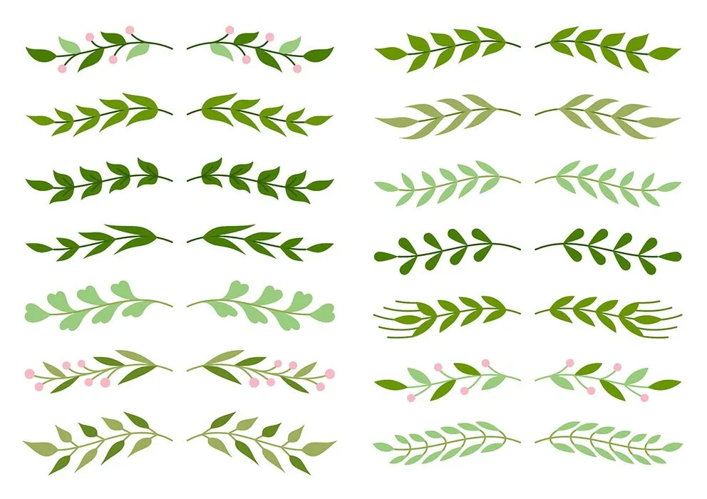 Cành Lá Trang Trí Vector - Bộ Sưu Tập EPS Đa Dạng Cho Thiết Kế