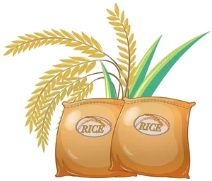 Hình ảnh bông lúa file vector mẫu KS911