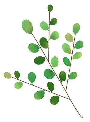 Cành Lá Xanh Tươi - Hình Minh Họa Vector EPS Độc Đáo