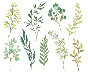 Bộ Sưu Tập Cành Lá Tối Giản – Hình Minh Họa Vector EPS Đa Dạng