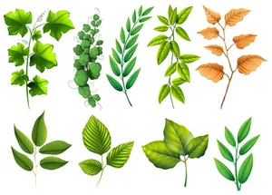 Cành Lá Đa Dạng - Hình Minh Họa Vector EPS