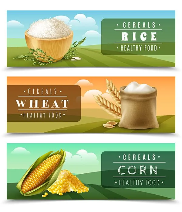 Banner quảng cáo gạo file vector mẫu KS864