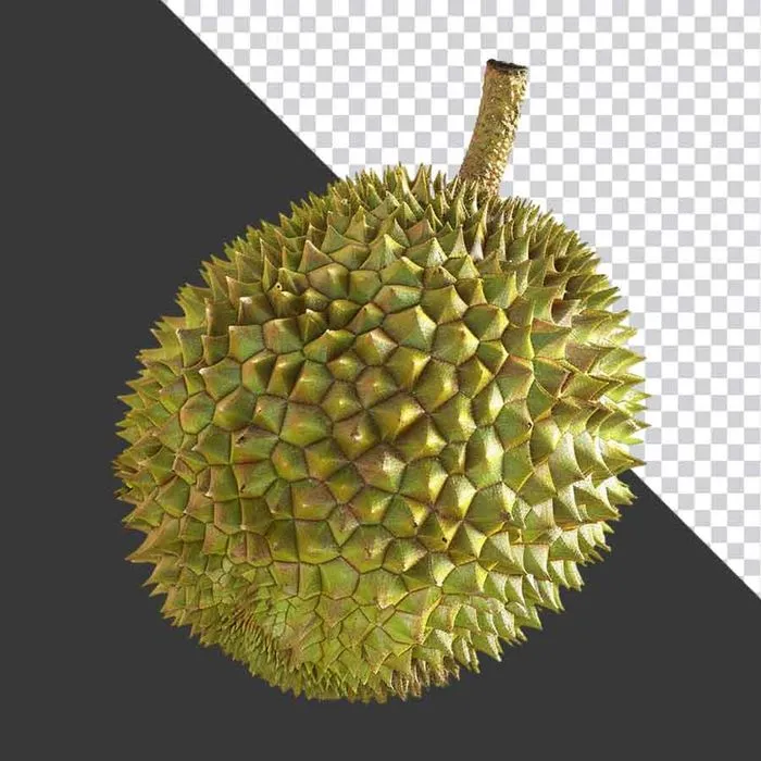Quả Sầu Riêng PNG Chất Lượng Cao - Tách Nền Sẵn Sàng cho Thiết Kế
