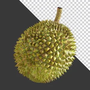 Quả Sầu Riêng PNG Chất Lượng Cao - Tách Nền Sẵn Sàng cho Thiết Kế