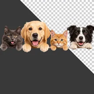 Chó & Mèo Đáng Yêu: Ảnh PNG Nền Trong Suốt Cho Thiết Kế Đồ Họa