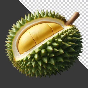Sầu Riêng Tươi Cắt Lát - Ảnh PNG Chất Lượng Cao cho Thiết Kế Đồ Họa
