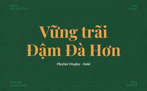 Phông chữ playfair display font việt hóa
