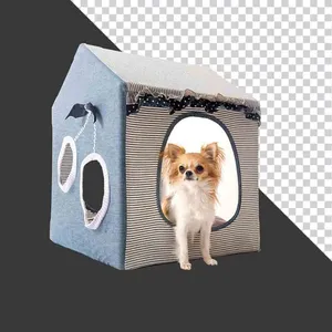 Chó Chihuahua Đáng Yêu Trong Nhà Vải – Ảnh PNG Chất Lượng Cao