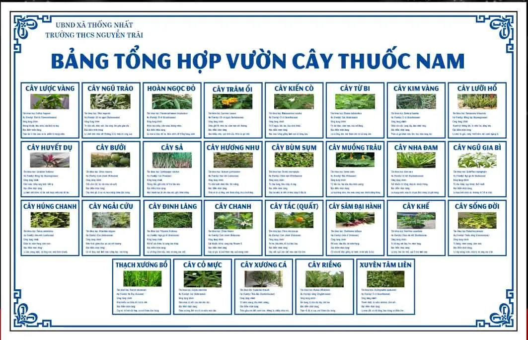 Bảng Tổng Hợp Vườn Cây Thuốc Nam - Thiết Kế Chuyên Nghiệp Dạng CDR