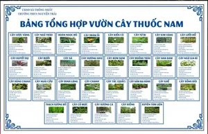 Bảng Tổng Hợp Vườn Cây Thuốc Nam - Thiết Kế Chuyên Nghiệp Dạng CDR