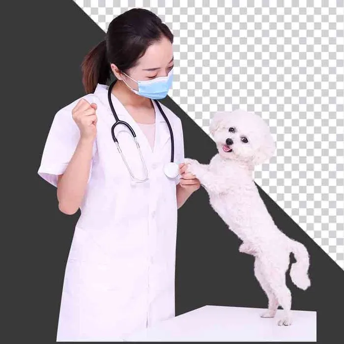 Bác sĩ thú y và cún con PNG chất lượng cao - Ảnh cho thiết kế đồ họa