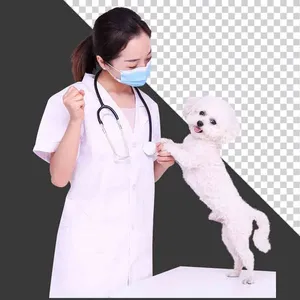 Bác sĩ thú y và cún con PNG chất lượng cao - Ảnh cho thiết kế đồ họa