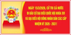 Background Tuyên Truyền Bầu Cử Đại Biểu Quốc Hội & Hội Đồng Nhân Dân