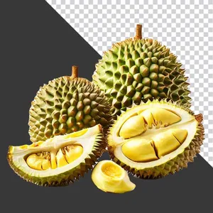 Trái Sầu Riêng Tươi PNG Chất Lượng Cao File PNG