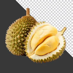 Sầu Riêng Tươi PNG Chất Lượng Cao - Tách Nền Sẵn Sàng cho Thiết Kế