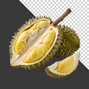 Miếng Sầu Riêng PNG Chất Lượng Cao - Thiết Kế Đồ Họa Độc Đáo