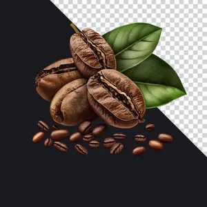 File PNG hạt cà phê nâu và lá xanh chân thực