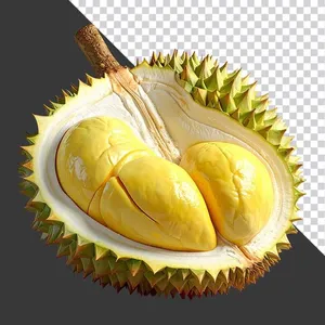 Múi Sầu Riêng Tươi Ngon - Hình Ảnh PNG Chất Lượng Cao