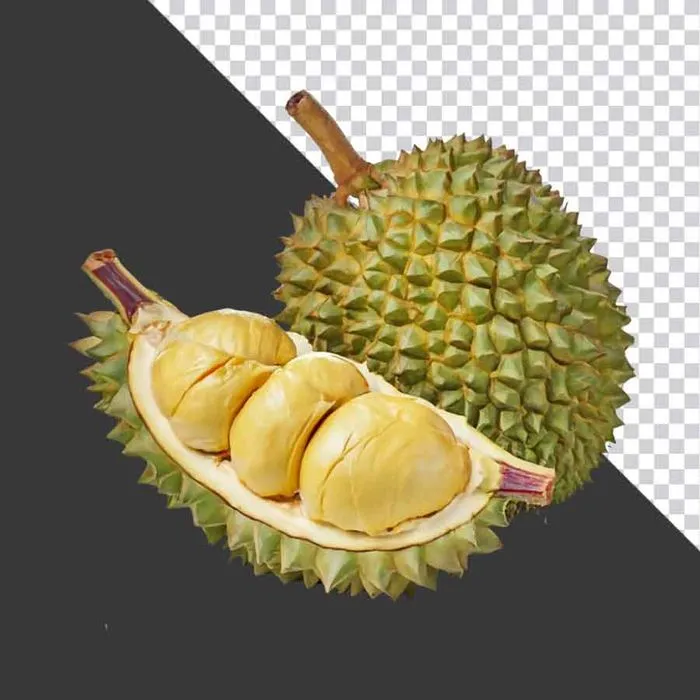 Sầu Riêng Tươi PNG Chất Lượng Cao - Tách Nền, Sẵn Sàng Thiết Kế