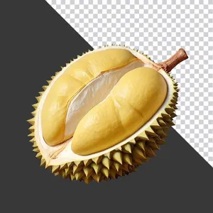 Múi Sầu Riêng Vàng Tươi - PNG Chất Lượng Cao cho Thiết Kế Đồ Họa