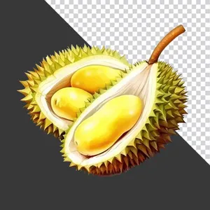 Sầu Riêng Tươi Mới - Hình Ảnh PNG Chất Lượng Cao cho Thiết Kế Đồ Họa