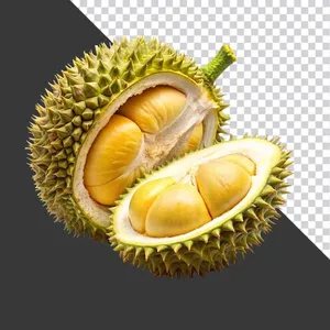Múi Sầu Riêng Tươi Ngon – Hình Ảnh PNG Chất Lượng Cao