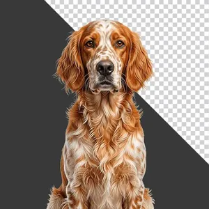 Chó Spaniel Ngồi Dễ Thương Nền Xanh Lá - Hình Ảnh PNG Chất Lượng Cao