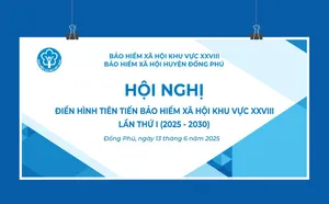 Backdrop hội nghị điển hình tiên tiến Bảo hiểm xã hội khu vực 28 – File Corel