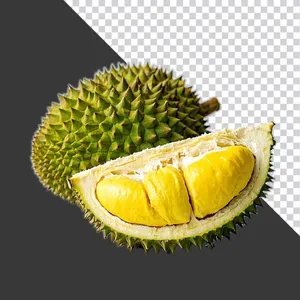 Múi Sầu Riêng Tươi Ngon - Hình Ảnh PNG Chất Lượng Cao