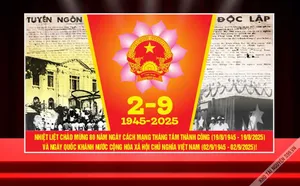Backdrop Corel chào mừng 80 năm Cách mạng Tháng Tám và Quốc khánh 291945 – 2025