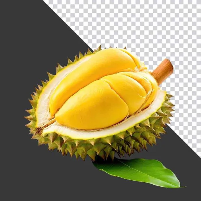 Múi Sầu Riêng Vàng Tươi - PNG Chất Lượng Cao cho Thiết Kế Đồ Họa