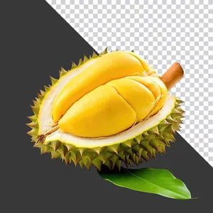 Múi Sầu Riêng Vàng Tươi - PNG Chất Lượng Cao cho Thiết Kế Đồ Họa