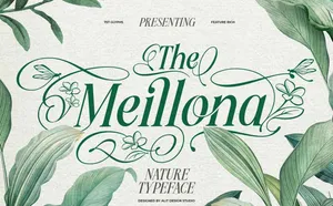 Font chữ uốn lượn trang trí - TH Meillona Việt Hóa