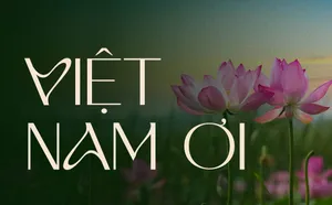 Font chữ Thanh Lịch Hiện Đại - TH Saviera Việt Hóa Hoàn Chỉnh.