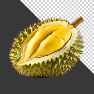 Sầu Riêng Tươi Mở - PNG Chất Lượng Cao cho Thiết Kế Đồ Họa
