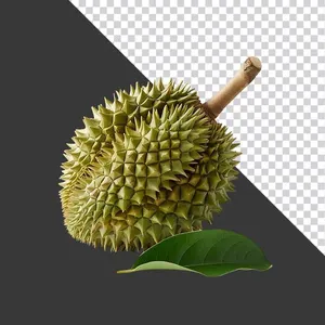 Sầu Riêng Tươi Nguyên Quả - File PNG Chất Lượng Cao cho Thiết Kế