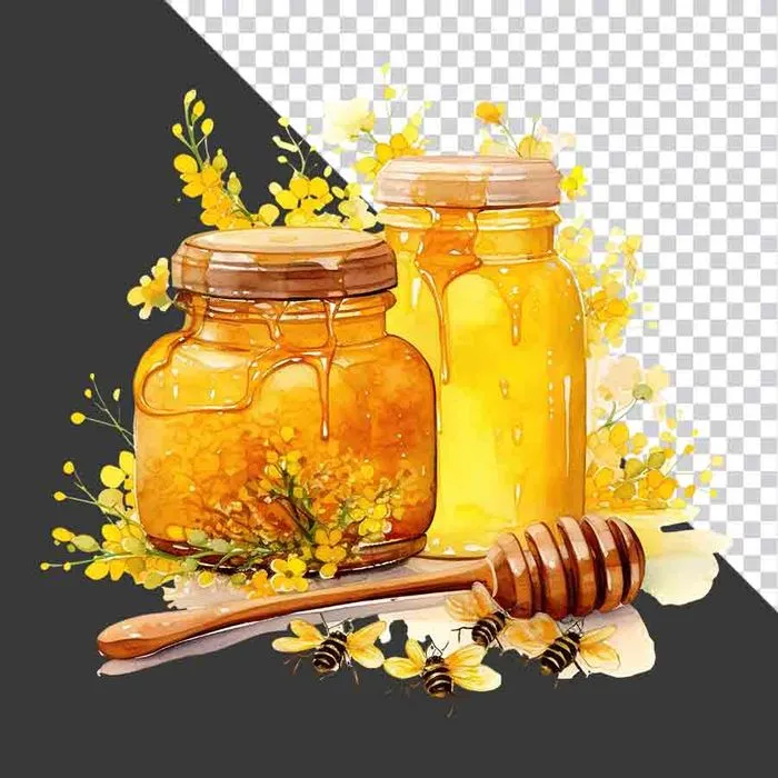 Bộ Sưu Tập Hũ Mật Ong và Hoa Lá Tươi Tắn - File PNG Chất Lượng Cao