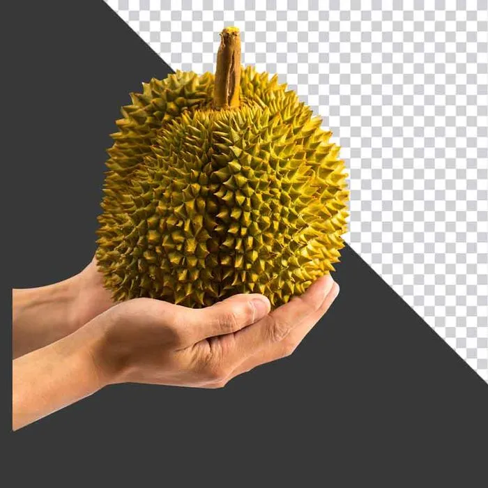 Ảnh PNG Sầu Riêng Chất Lượng Cao - Tách Nền Sẵn Sàng cho Thiết Kế