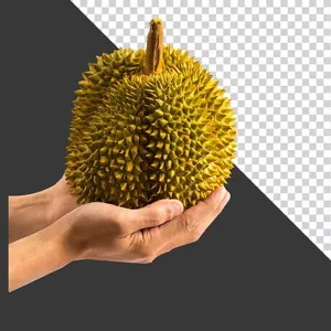 Ảnh PNG Sầu Riêng Chất Lượng Cao - Tách Nền Sẵn Sàng cho Thiết Kế