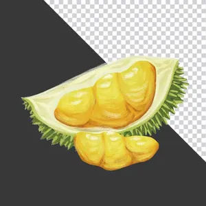 Múi Sầu Riêng Vàng Tươi - Hình Ảnh PNG Chất Lượng Cao