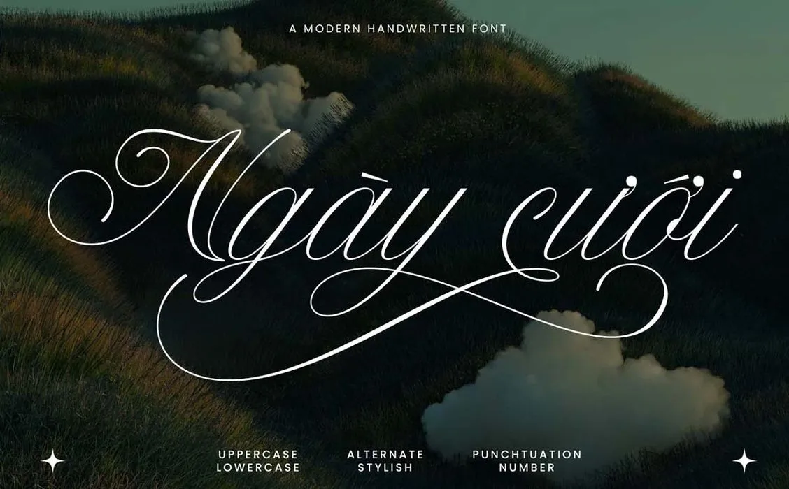 Font chữ Việt hóa cho ngày cưới TH Berseka