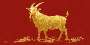 Hình Ảnh Con Dê Vàng Độc Đáo - JPG Chất Lượng Cao