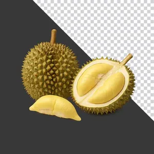 Ảnh PNG Sầu Riêng Chất Lượng Cao - Tách Nền Sẵn Sàng cho Thiết Kế