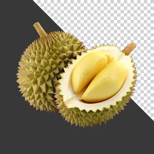 Sầu Riêng Tươi PNG Chất Lượng Cao 