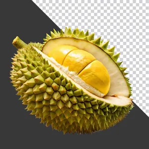 Sầu Riêng Tươi Mở - Hình Ảnh PNG Chất Lượng Cao Cho Thiết Kế Đồ Họa