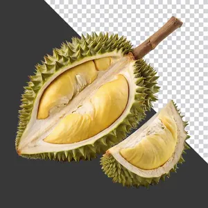 Sầu Riêng Tươi Cắt Lát - Ảnh PNG Chất Lượng Cao cho Thiết Kế