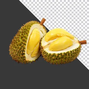 Sầu Riêng Cắt Lát Chất Lượng Cao – Ảnh PNG Đa Dụng cho Thiết Kế