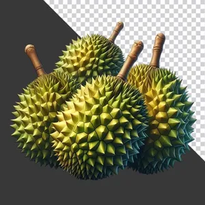 Sầu Riêng Gai Vàng PNG - Ảnh Cắt Sẵn Chất Lượng Cao cho Thiết Kế